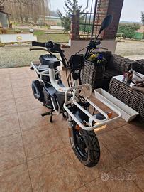 Moto martin tir - 2023