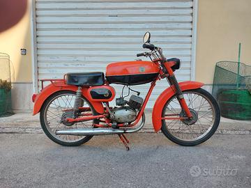 moto beta
