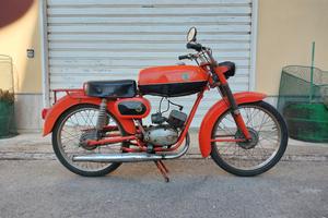 moto beta