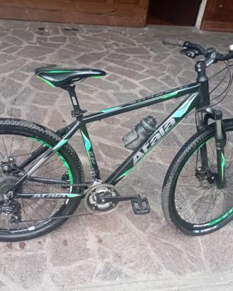 mountain bike