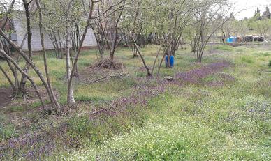 Terreno agricolo pianeggiante