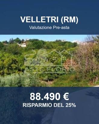 Immobile in asta di 13593 m² a Velletri