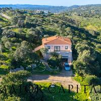 Villa - Olbia