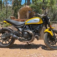 Ducati scrambler icon 800