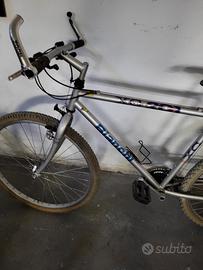 varie  biciclette 