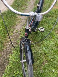 Bici carnielli malibu