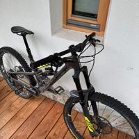 MTB Focus biammortizzata