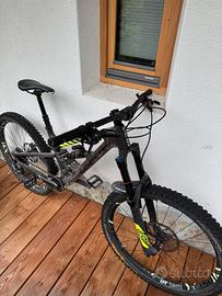 MTB Focus biammortizzata