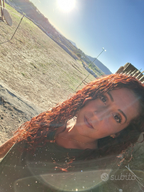 Cameriera di sala, pulizie uffici