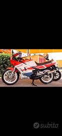 YAMAHA RD 250 LC