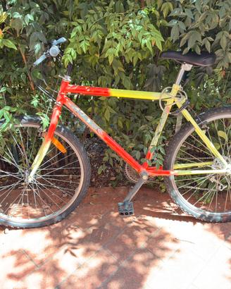 BICI DA UOMO