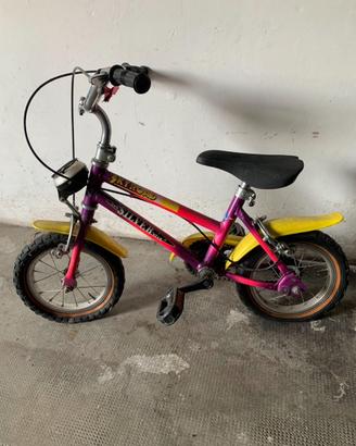 Bicicletta
