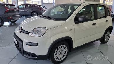 FIAT Panda 1.0 FireFly S&S Hybrid Pandina