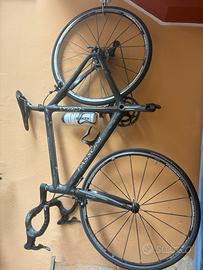 Bici carbonio passoni