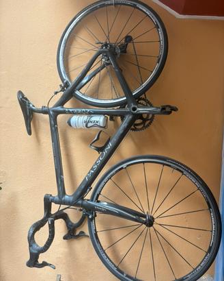Bici carbonio passoni