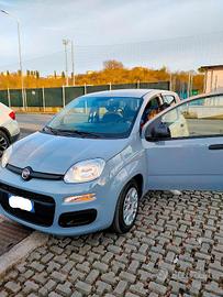 Fiat Panda 1.0 FireFly S&S Hybrid Easy