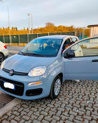 Fiat Panda 1.0 FireFly S&S Hybrid Easy