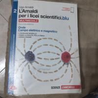 L' Amaldi per licei scientifici blu 2