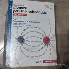 L' Amaldi per licei scientifici blu 2
