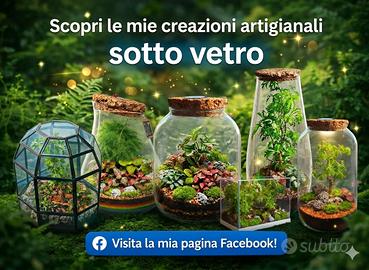 terrarium by Sterrarium 