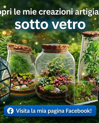 terrarium by Sterrarium 