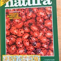 Rivista Oggi Natura luglio 1985 coccinelle insetti