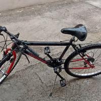 Bicicletta  26