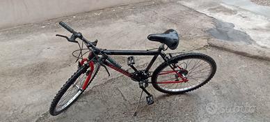Bicicletta  26