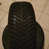gomme nexen 195/55 R 16