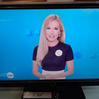 televisore loewe art 40