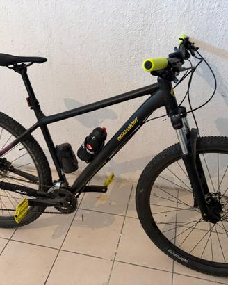 Bergamont Revox 5