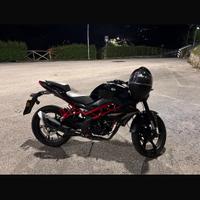 Benelli BN 125 - 2023