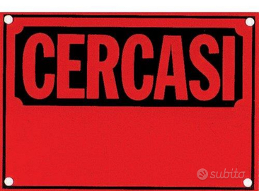 STUDENTESSA a Padova