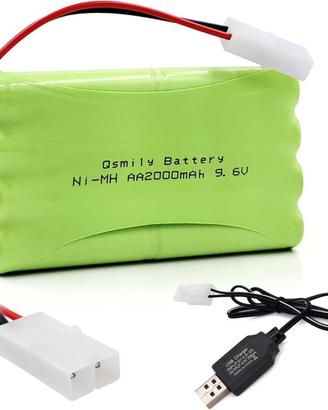 Batteria NiMH AA 9.6V 2000mAh Tamiya con USB