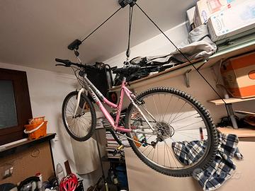 Mtb donna