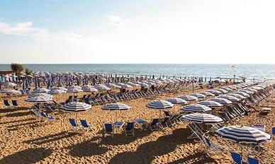 Attività commerciale ben avviata da oltre 10 anni