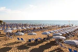 Attività commerciale ben avviata da oltre 10 anni