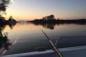 Posto barca 6m/8m/10m Pisa