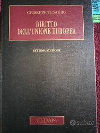 Diritto dell'Unione Europea