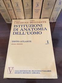 Chiarugi. Istituzioni Anatomia dell’Uomo