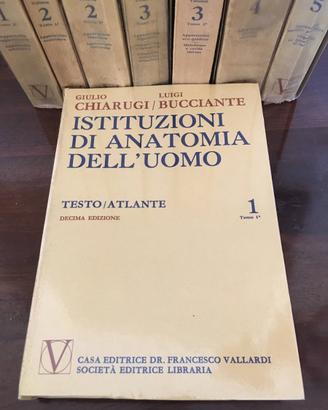Chiarugi. Istituzioni Anatomia dell’Uomo