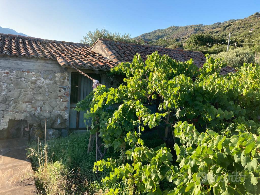 Terreno agricolo - Vista 3