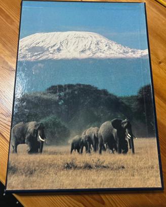 Libro Africa della banca popolare di Novara