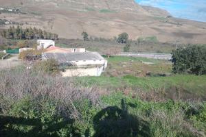 Azienda Agricola / Fattoria / Terreno