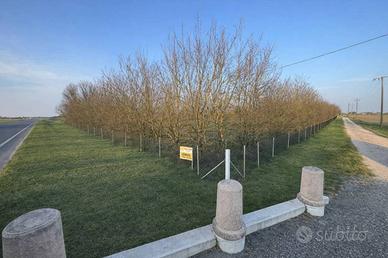 Villa di 220 m² con più di 5 locali e box auto a M