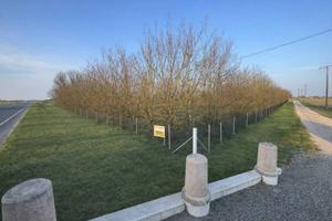 Villa di 220 m² con più di 5 locali e box auto a M