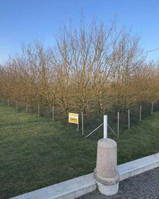 Villa di 220 m² con più di 5 locali e box auto a M