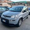 fiat-panda-1-2-easypower