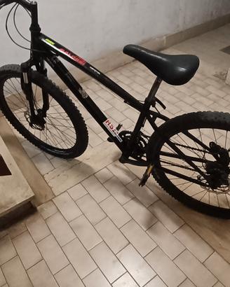 Mountain bike freni a disco 27.5