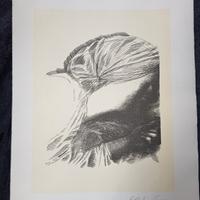 Emilio Greco litografia originale firmata.